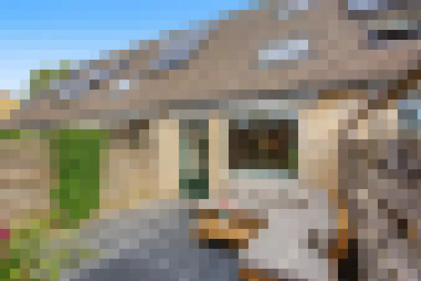 Johannes Vermeerstraat 13 Maarssen thumbnail 41