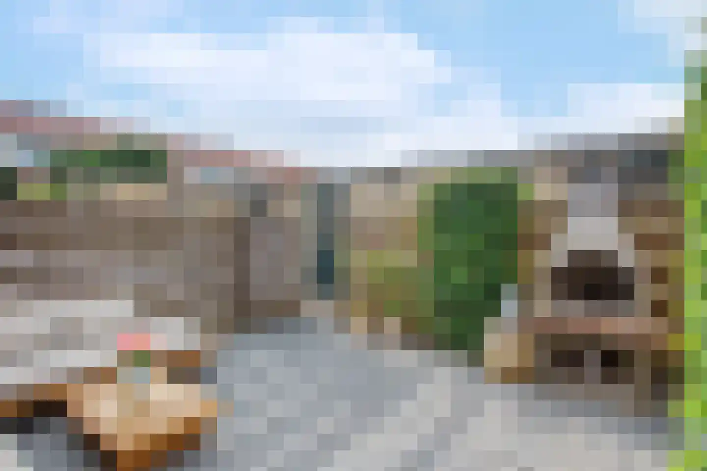 Johannes Vermeerstraat 13 Maarssen thumbnail 46
