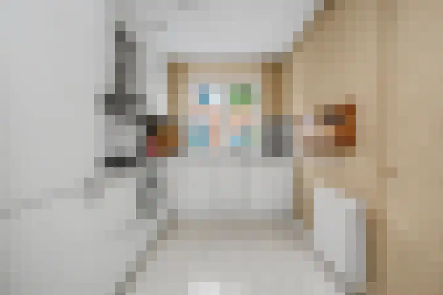 Johannes Vermeerstraat 13 Maarssen thumbnail 9