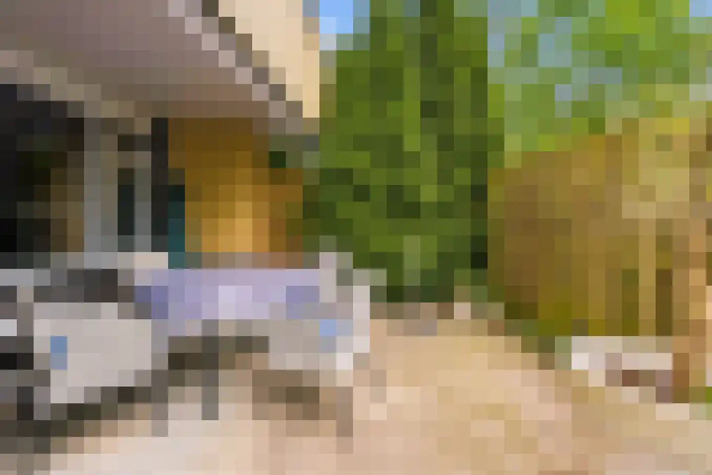 Johannes Vermeerstraat 134 Almere thumbnail 11