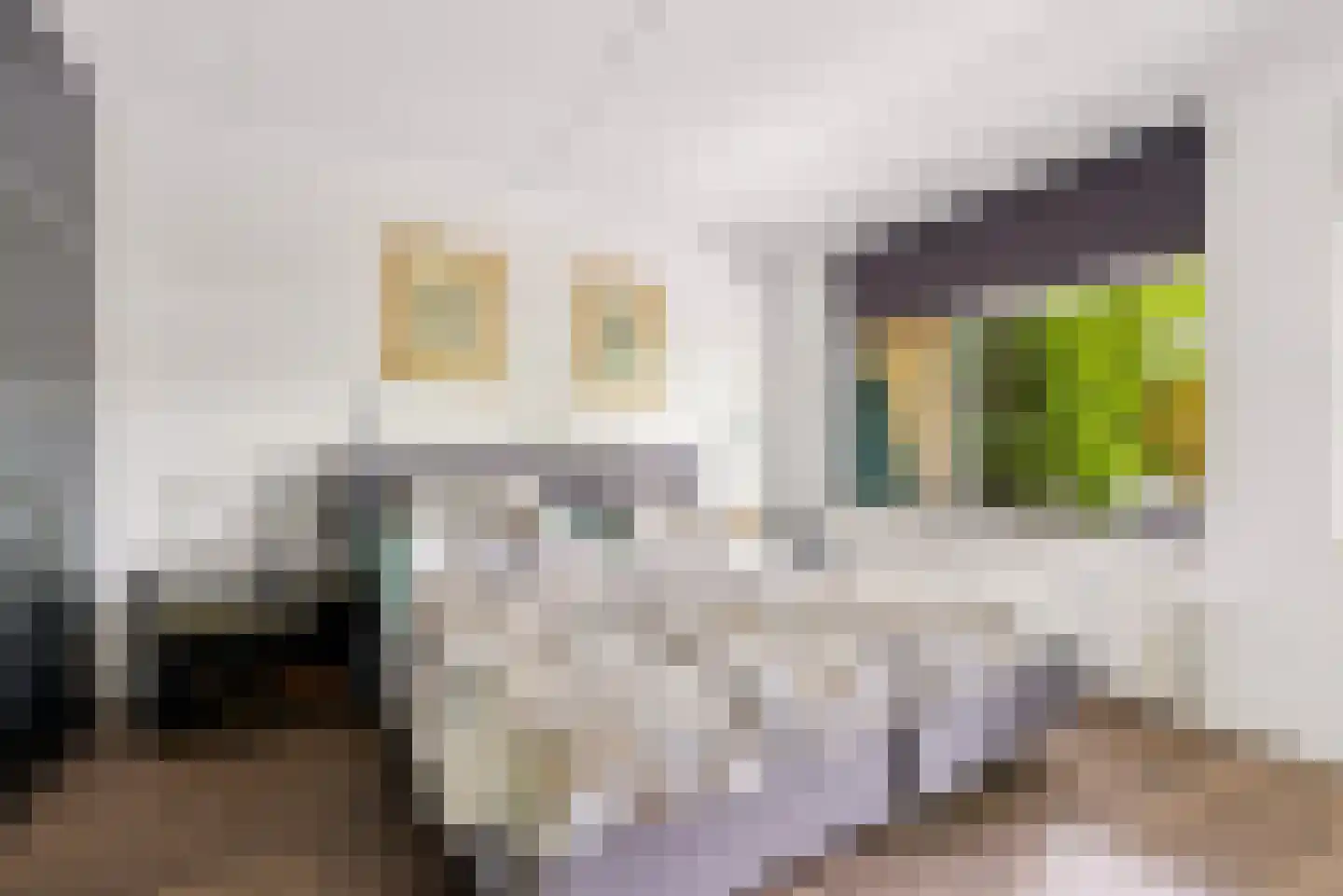 Johannes Vermeerstraat 134 Almere thumbnail 26
