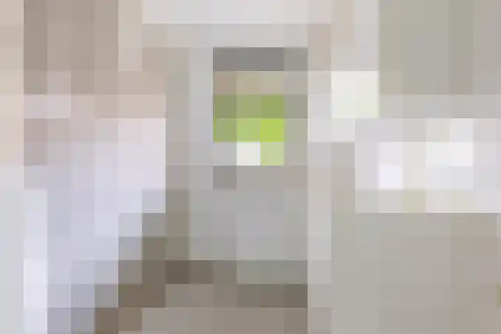 Johannes Vermeerstraat 136 Almere thumbnail 11