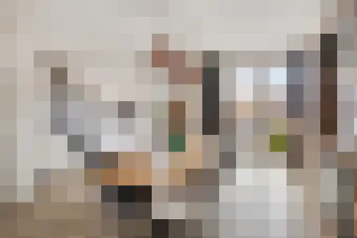 Johannes Vermeerstraat 14 Lichtenvoorde thumbnail 11