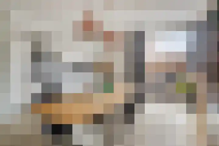 Johannes Vermeerstraat 14 Lichtenvoorde thumbnail 13