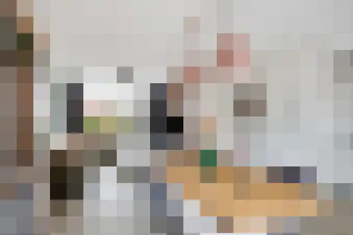 Johannes Vermeerstraat 14 Lichtenvoorde thumbnail 15