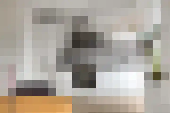 Johannes Vermeerstraat 14 Lichtenvoorde thumbnail 16