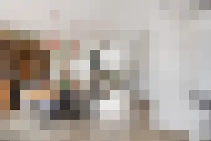 Johannes Vermeerstraat 14 Lichtenvoorde thumbnail 18