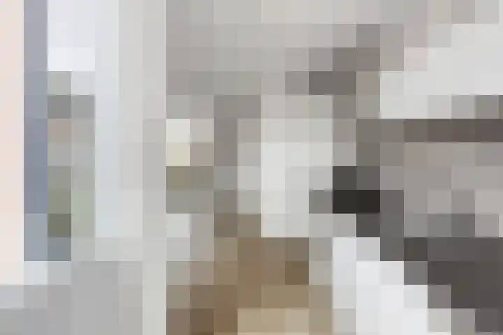 Johannes Vermeerstraat 14 Lichtenvoorde thumbnail 19