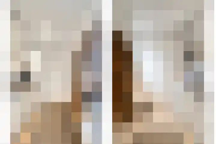Johannes Vermeerstraat 14 Lichtenvoorde thumbnail 20