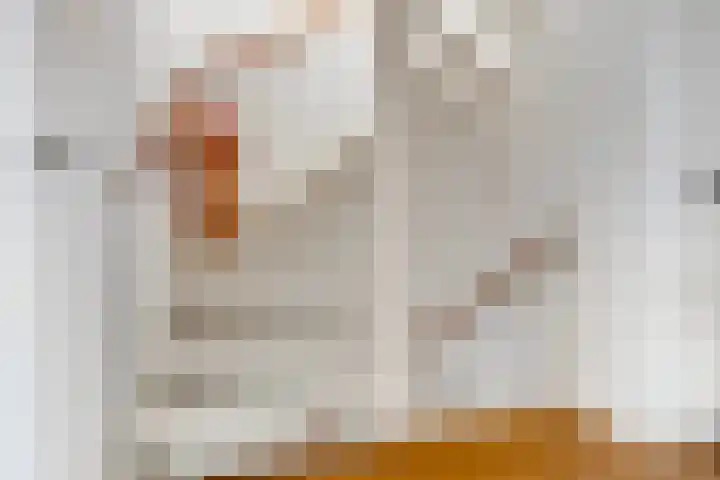 Johannes Vermeerstraat 14 Lichtenvoorde thumbnail 21
