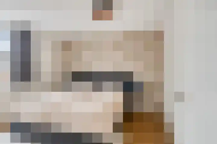 Johannes Vermeerstraat 14 Lichtenvoorde thumbnail 22