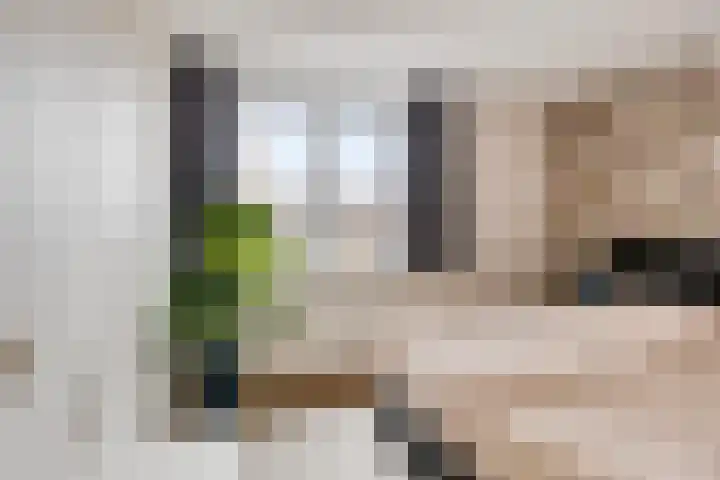 Johannes Vermeerstraat 14 Lichtenvoorde thumbnail 23