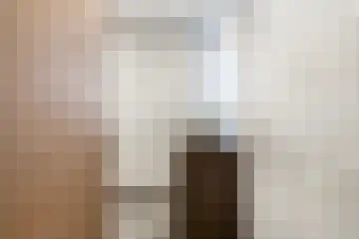 Johannes Vermeerstraat 14 Lichtenvoorde thumbnail 24