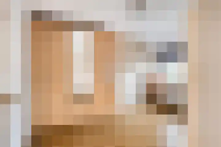 Johannes Vermeerstraat 14 Lichtenvoorde thumbnail 28