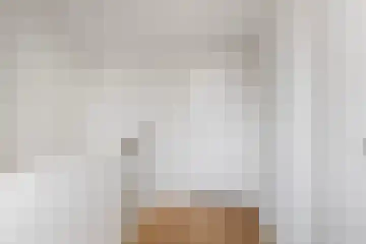 Johannes Vermeerstraat 14 Lichtenvoorde thumbnail 31