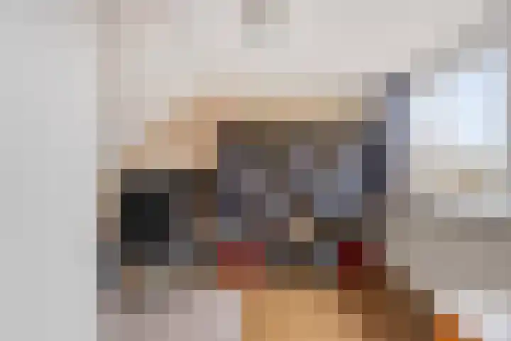 Johannes Vermeerstraat 14 Lichtenvoorde thumbnail 33