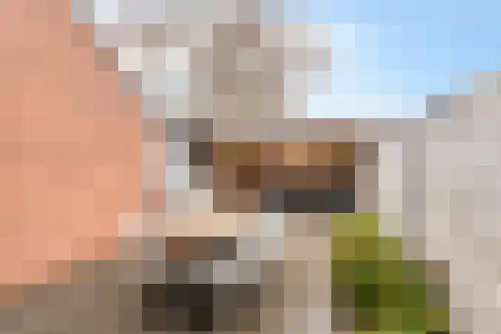 Johannes Vermeerstraat 14 Lichtenvoorde thumbnail 36