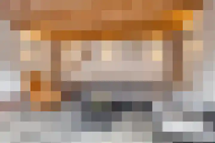 Johannes Vermeerstraat 14 Lichtenvoorde thumbnail 38