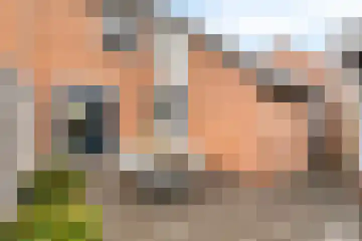 Johannes Vermeerstraat 14 Lichtenvoorde thumbnail 39