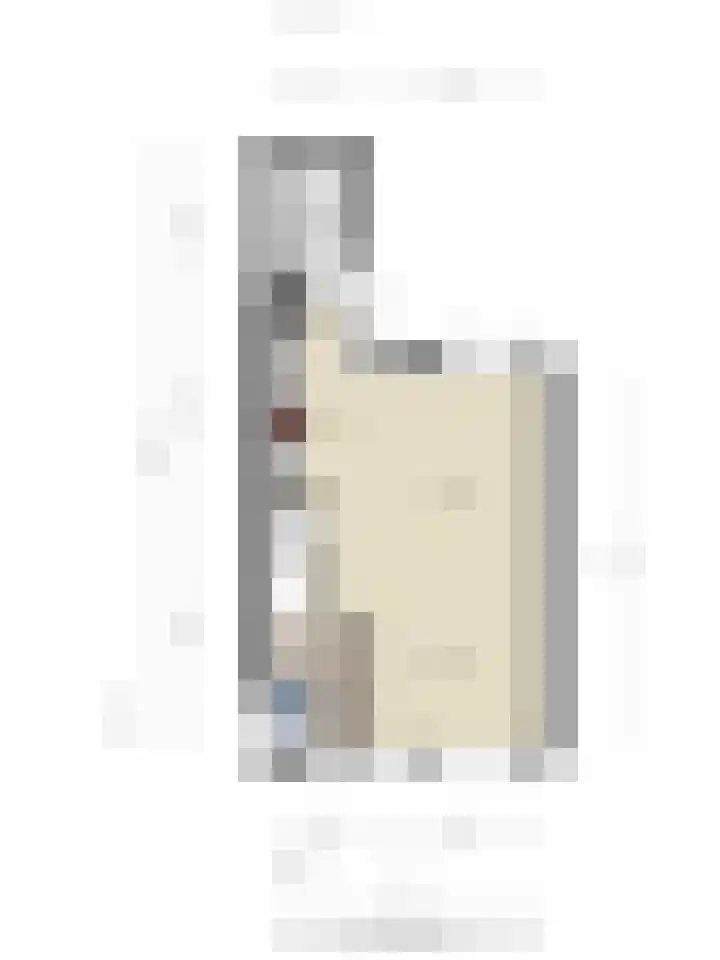 Johannes Vermeerstraat 14 Lichtenvoorde thumbnail 43