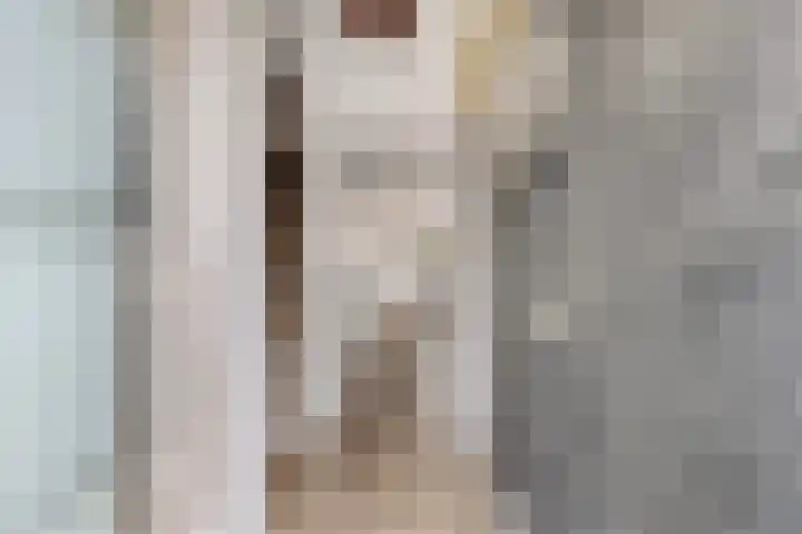 Johannes Vermeerstraat 14 Lichtenvoorde thumbnail 5