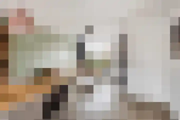 Johannes Vermeerstraat 14 Lichtenvoorde thumbnail 8