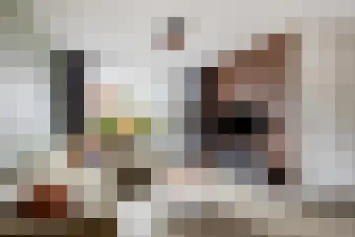 Johannes Vermeerstraat 14 Lichtenvoorde thumbnail 9