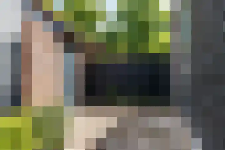 Johannes Vermeerstraat 14 Utrecht thumbnail 9