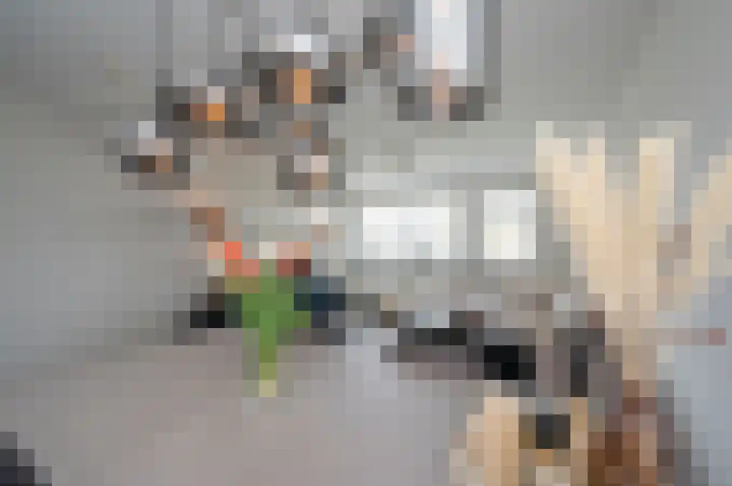 Johannes Vermeerstraat 142 Almere thumbnail 15