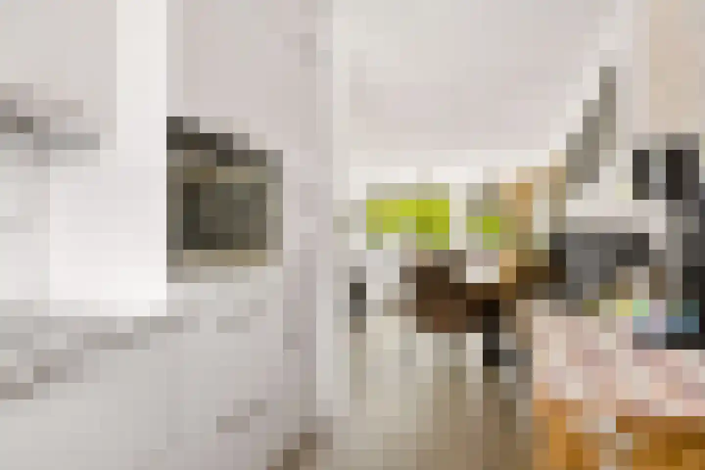 Johannes Vermeerstraat 148 Almere thumbnail 20