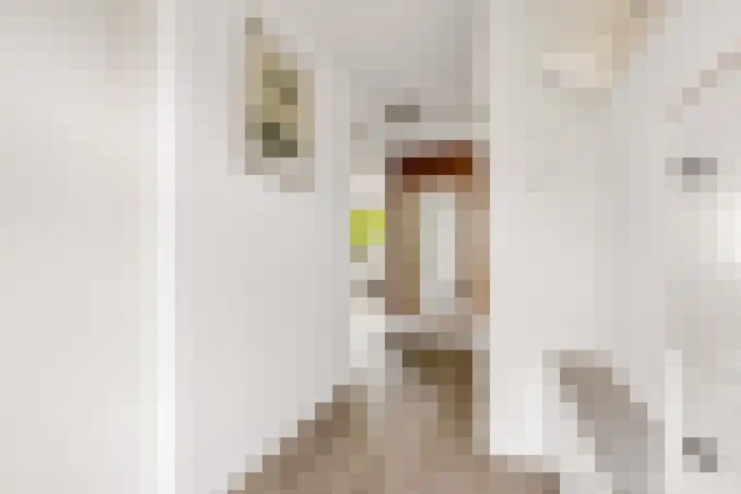 Johannes Vermeerstraat 148 Almere thumbnail 9