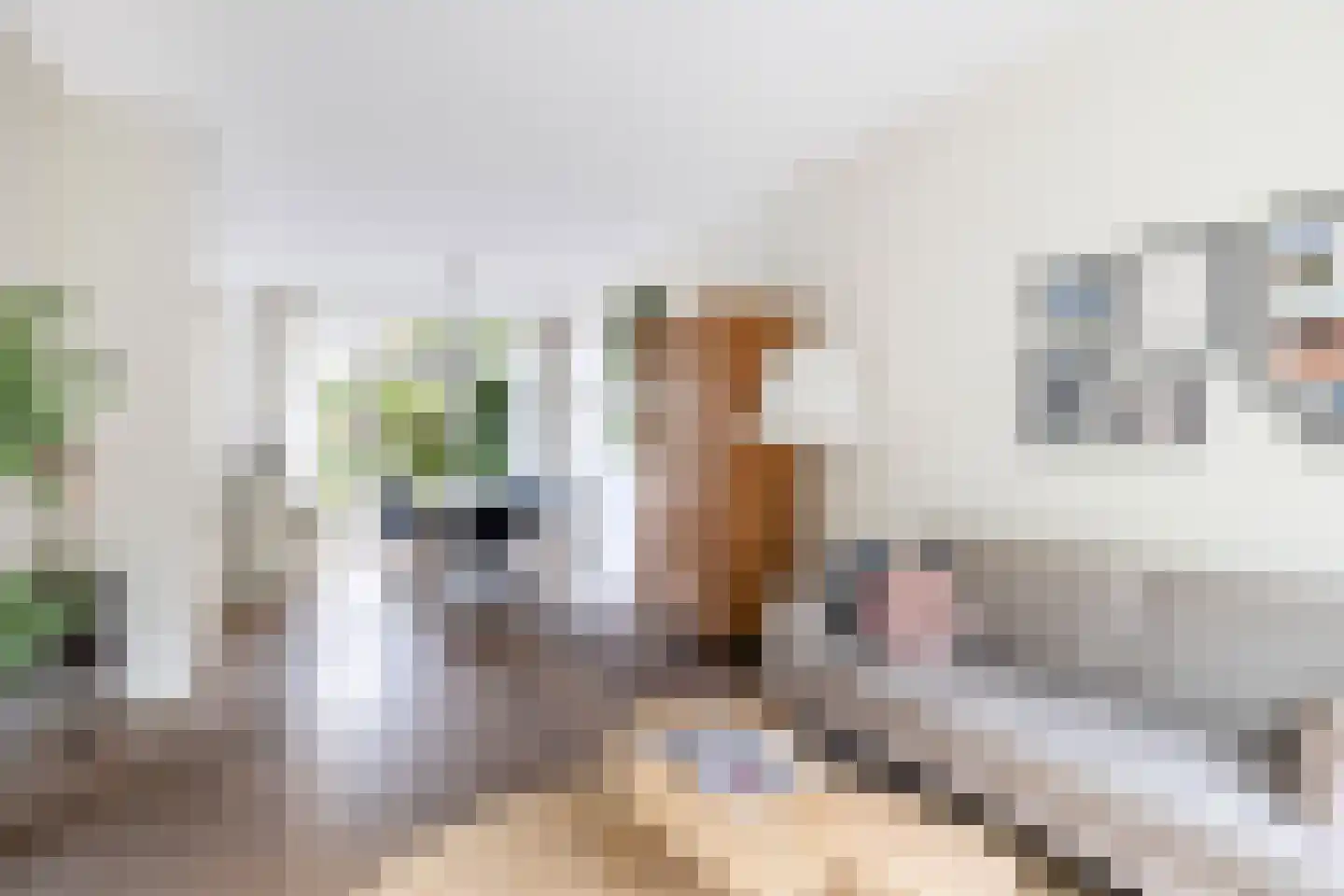 Johannes Vermeerstraat 15 Utrecht thumbnail 10