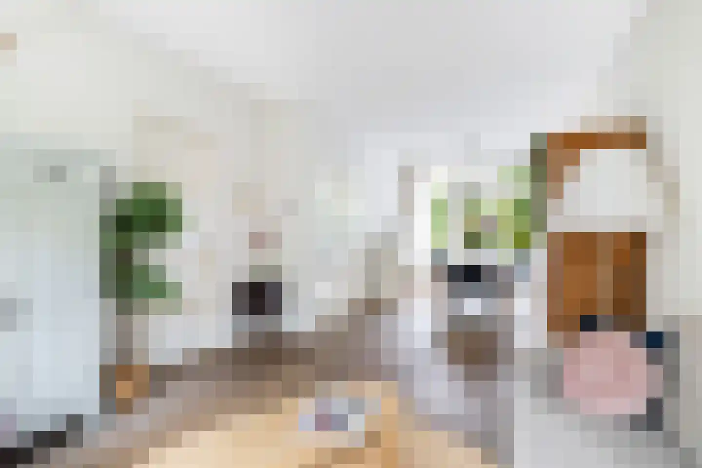 Johannes Vermeerstraat 15 Utrecht thumbnail 11