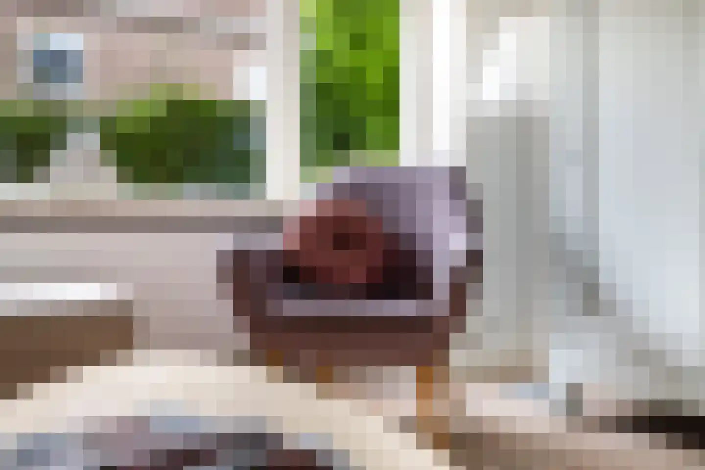 Johannes Vermeerstraat 15 Utrecht thumbnail 13