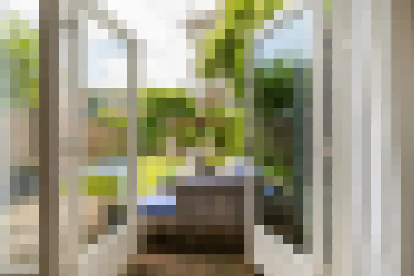 Johannes Vermeerstraat 15 Utrecht thumbnail 16