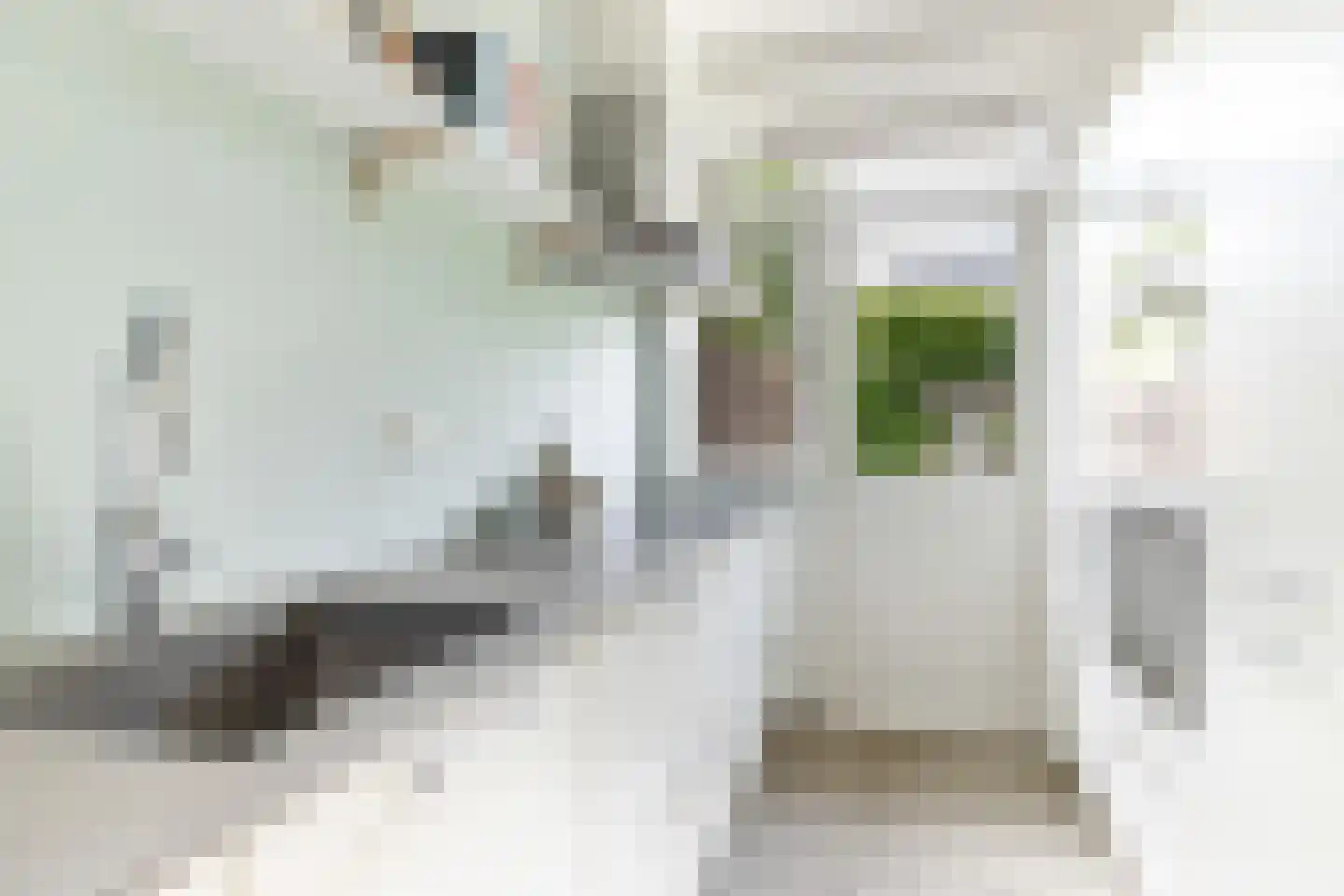 Johannes Vermeerstraat 15 Utrecht thumbnail 18