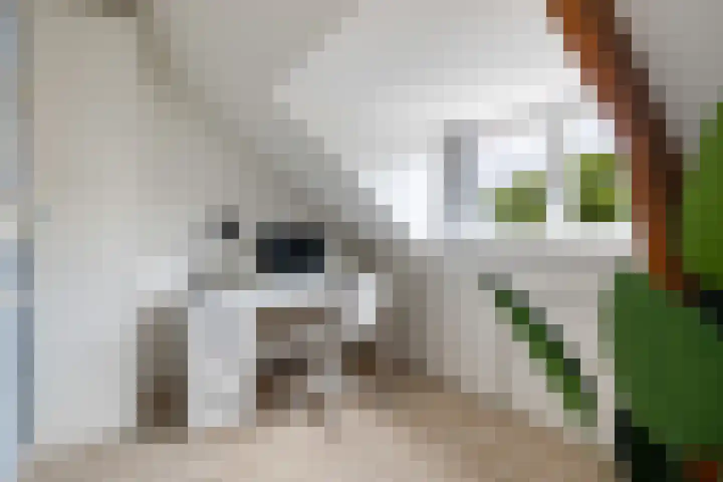 Johannes Vermeerstraat 15 Utrecht thumbnail 31