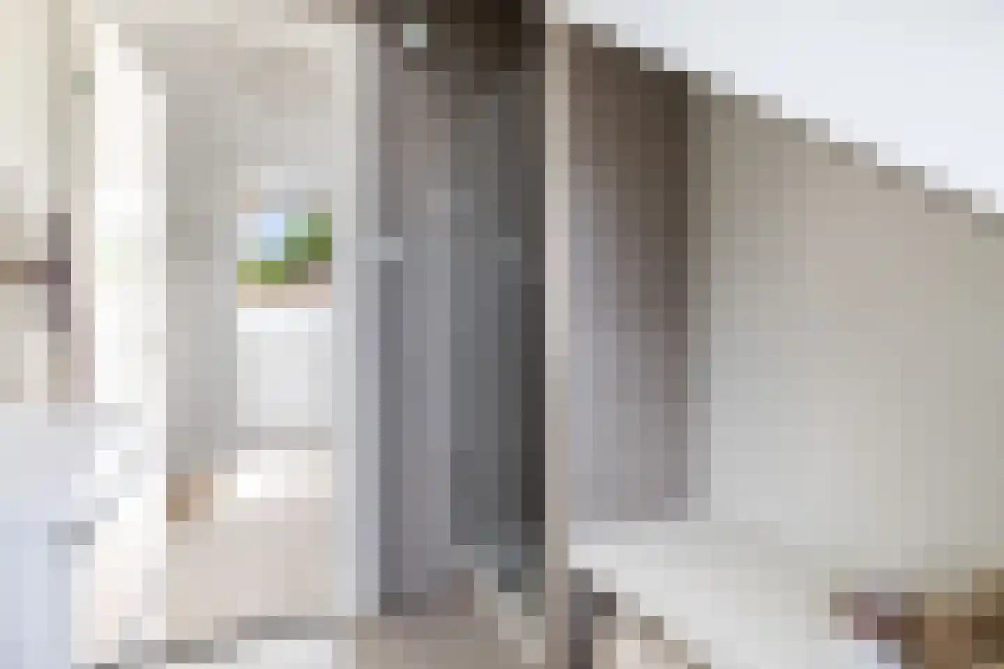 Johannes Vermeerstraat 15 Utrecht thumbnail 34