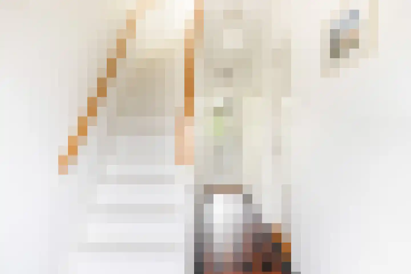 Johannes Vermeerstraat 15 Utrecht thumbnail 6