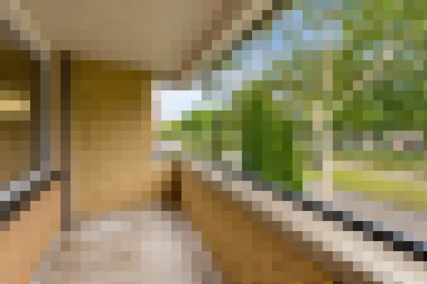 Johannes Vermeerstraat 154 Almere thumbnail 4