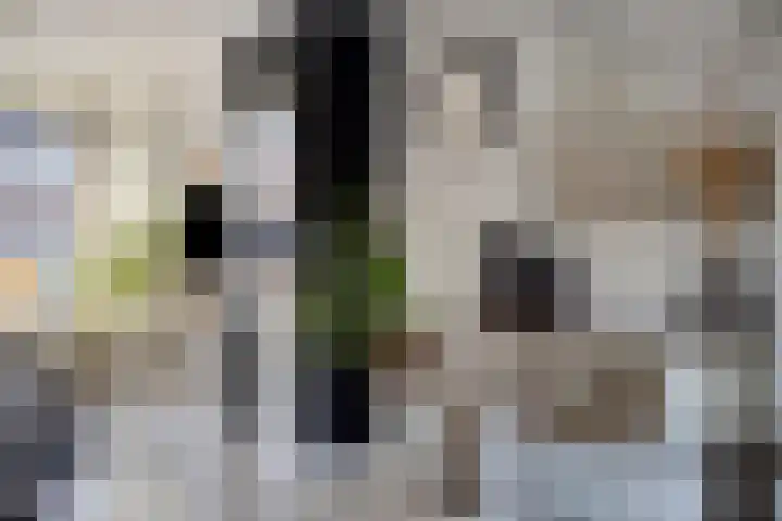 Johannes Vermeerstraat 16 Terneuzen thumbnail 10