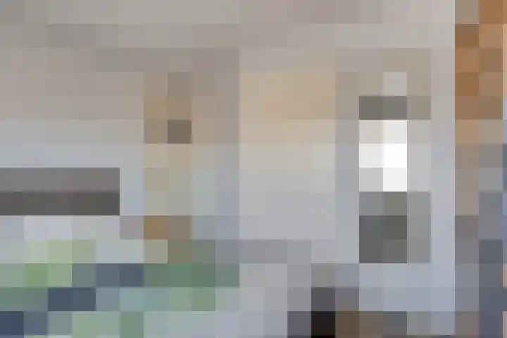 Johannes Vermeerstraat 16 Terneuzen thumbnail 17