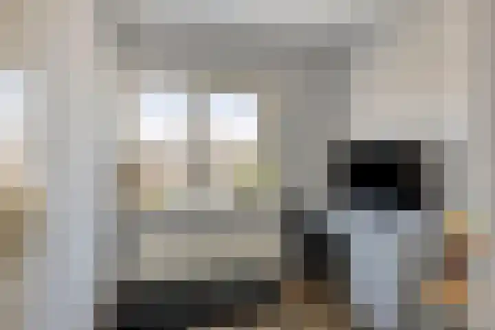 Johannes Vermeerstraat 16 Terneuzen thumbnail 18