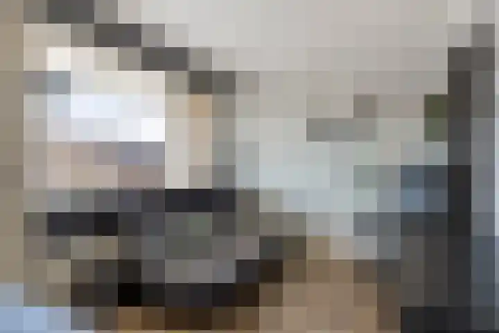 Johannes Vermeerstraat 16 Terneuzen thumbnail 20