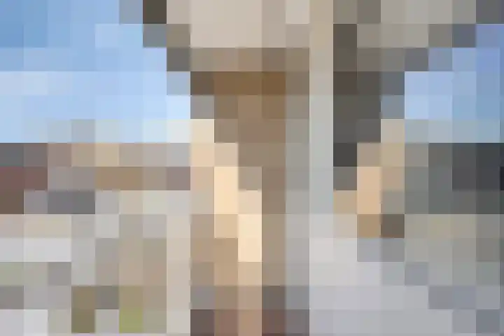 Johannes Vermeerstraat 16 Terneuzen thumbnail 22