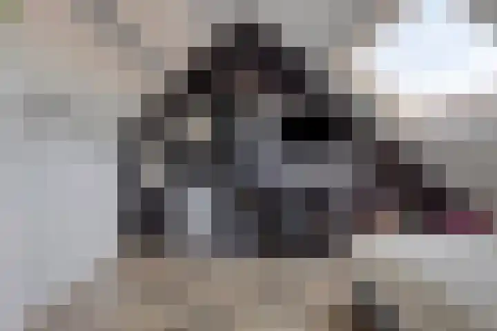Johannes Vermeerstraat 16 Terneuzen thumbnail 25