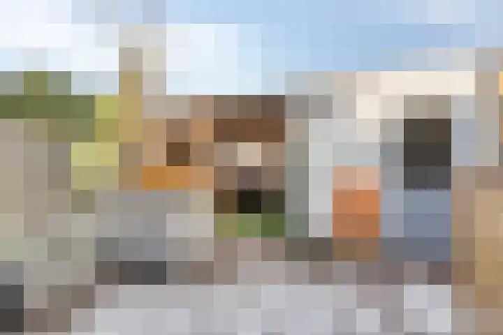 Johannes Vermeerstraat 16 Terneuzen thumbnail 30