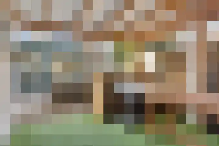 Johannes Vermeerstraat 16 Terneuzen thumbnail 33