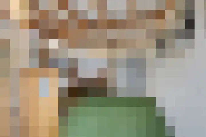 Johannes Vermeerstraat 16 Terneuzen thumbnail 34