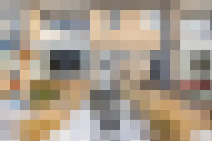 Johannes Vermeerstraat 16 Terneuzen thumbnail 35